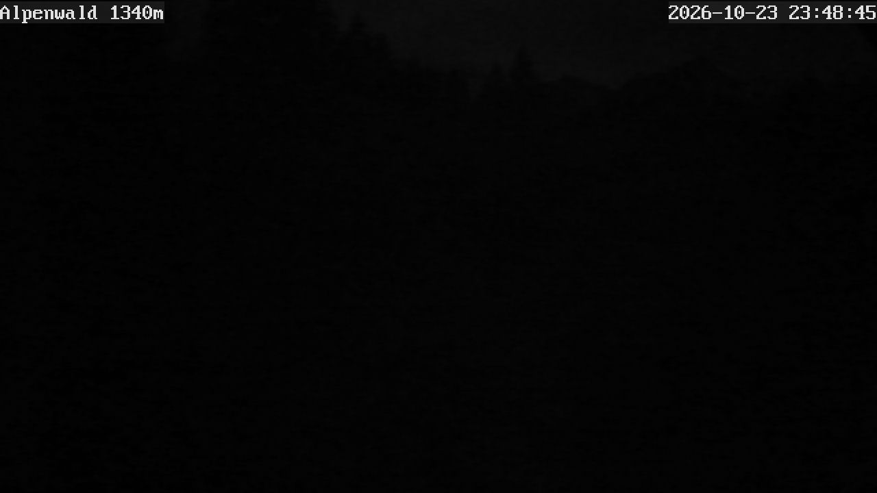 Image: Gasthof Alpenwald